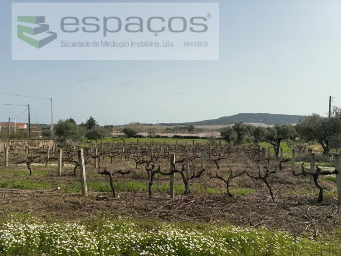 Terreno para Venda em Capinha Foto 20