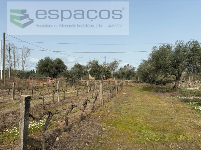 Terreno para Venda em Capinha Foto 21