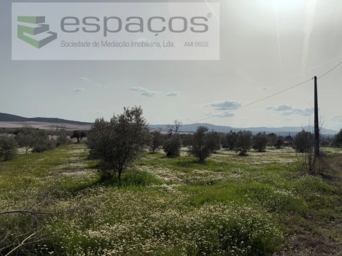 Terreno para Venda em Capinha Foto 23