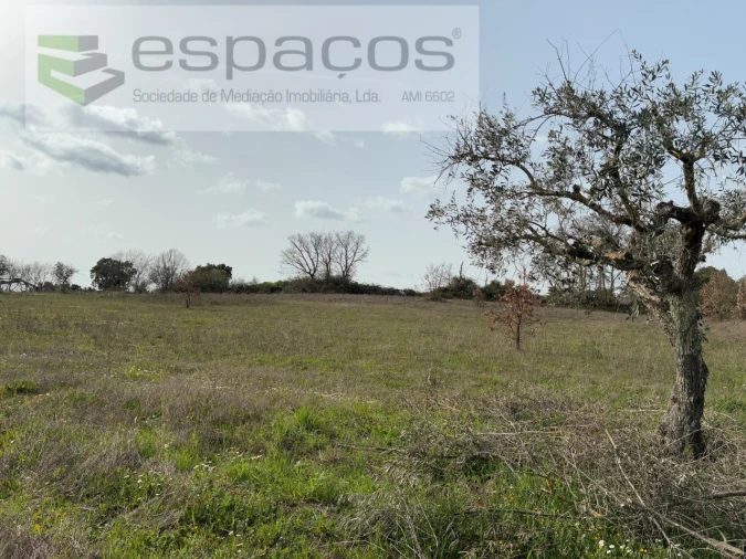 Terreno para Venda em Capinha Foto 27