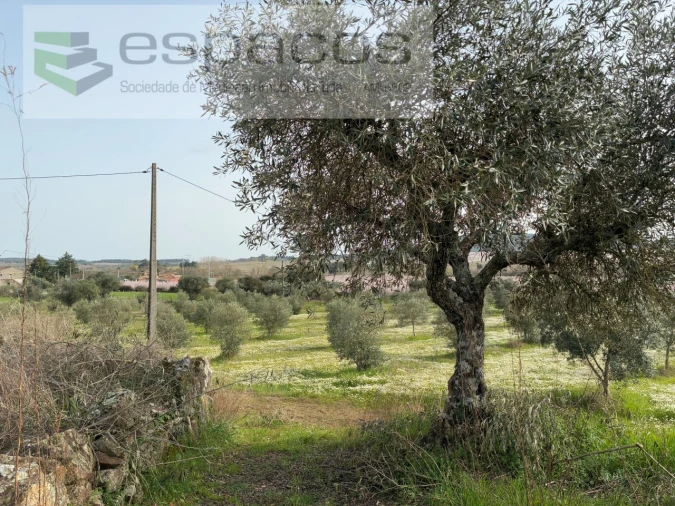 Terreno para Venda em Capinha Foto 29