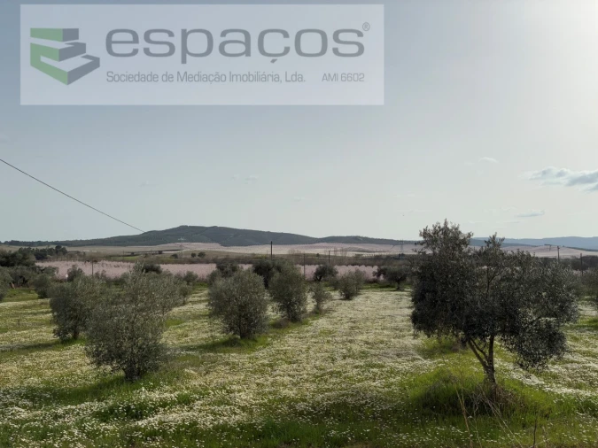 Terreno para Venda em Capinha Foto 30