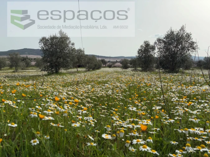 Terreno para Venda em Capinha Foto 1