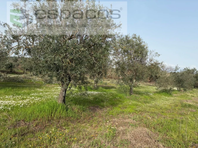 Terreno para Venda em Capinha Foto 35