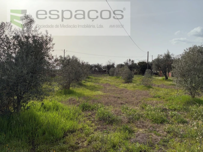 Terreno para Venda em Capinha Foto 39