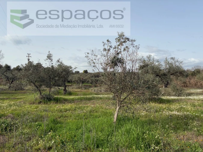 Terreno para Venda em Capinha Foto 40