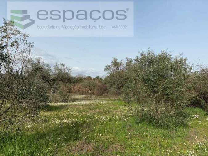 Terreno para Venda em Capinha Foto 41