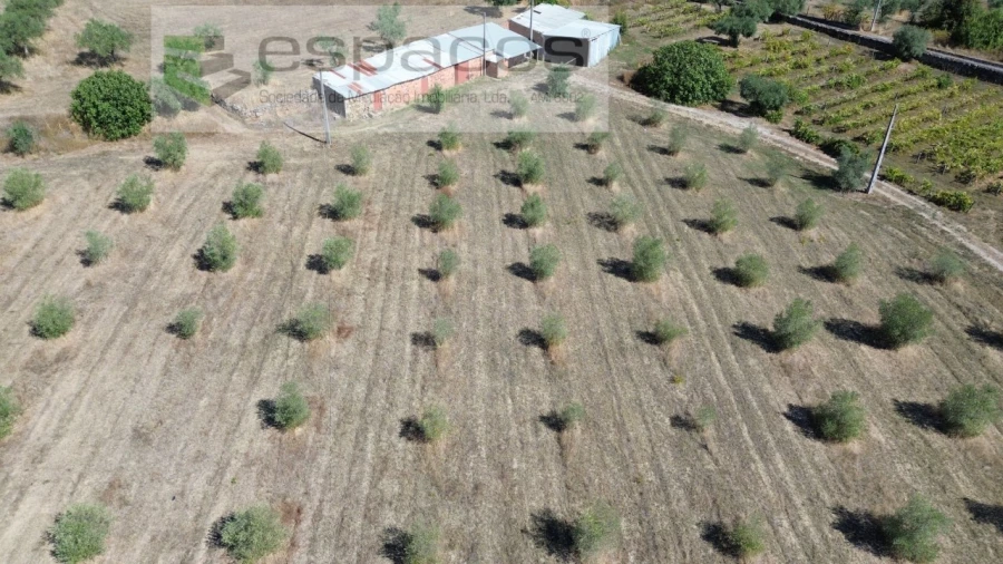 Terreno para Venda em Capinha Foto 7