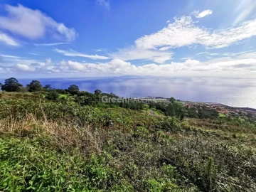 Terreno para Venda em Santa Cruz