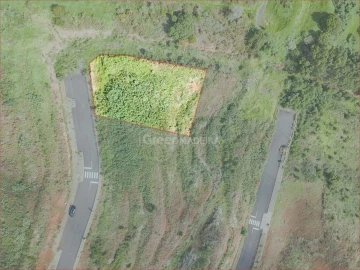 Terreno para Venda em Santa Cruz