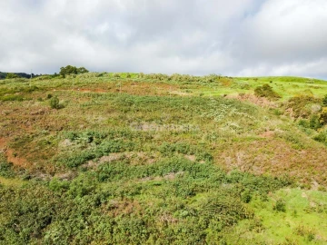 Terreno para Venda em Santa Cruz