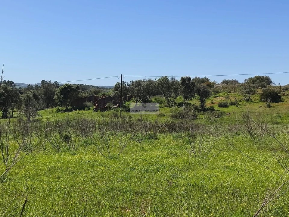 Quinta T3 para Venda em Luz Foto 11