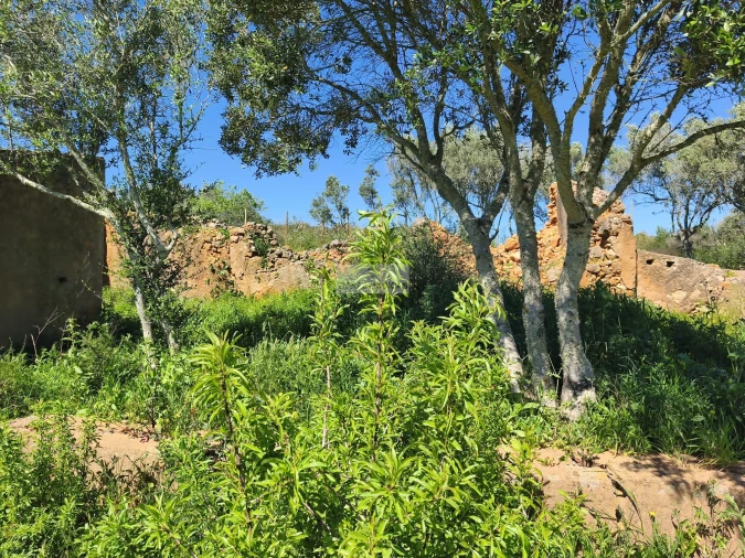 Quinta T3 para Venda em Luz Foto 6