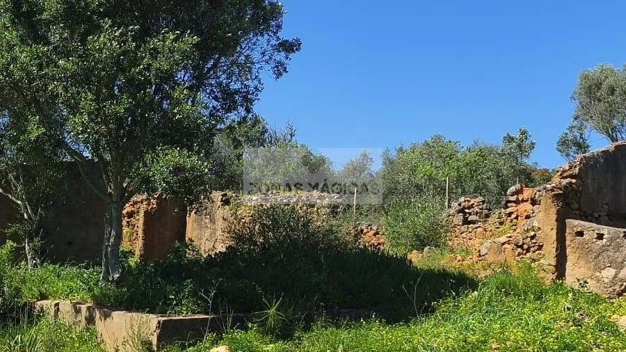 Quinta T3 para Venda em Luz