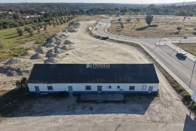 Terreno para Venda em Montargil