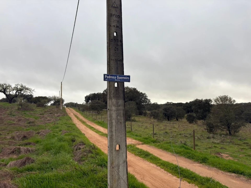 Terreno para Venda em Monforte Foto 2