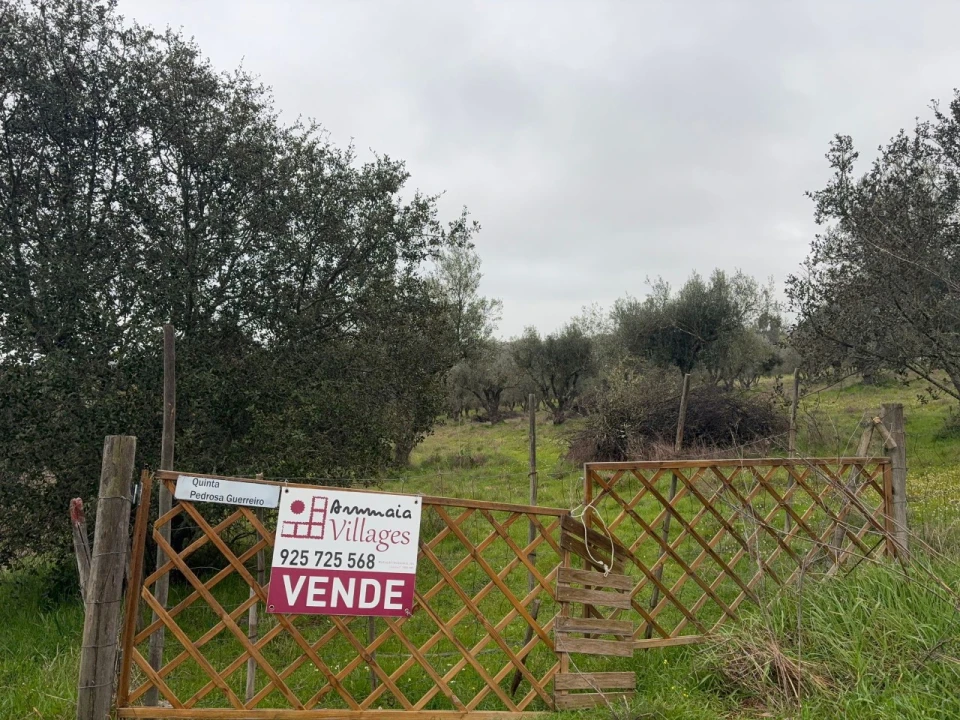 Terreno para Venda em Monforte Foto 6