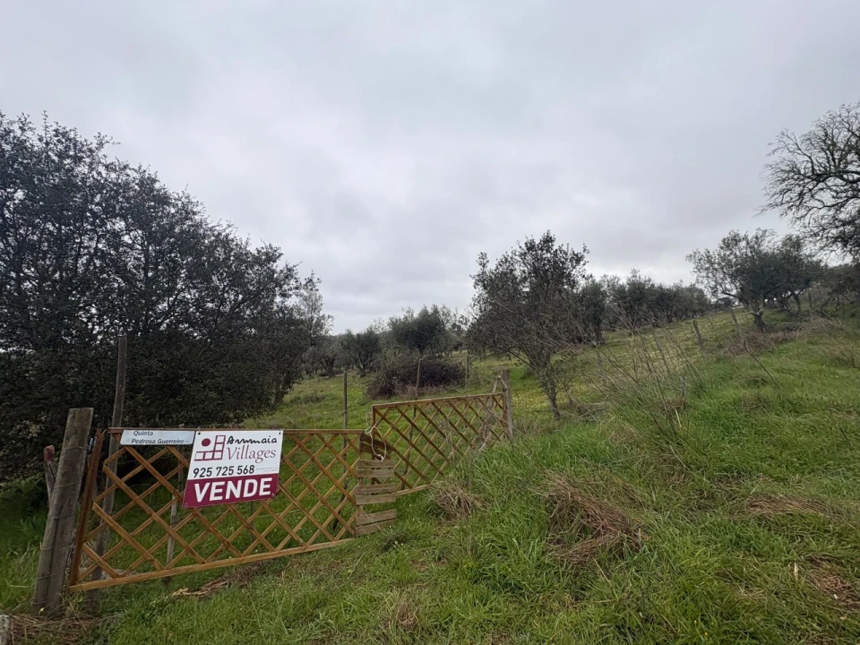 Terreno para Venda em Monforte Foto 1