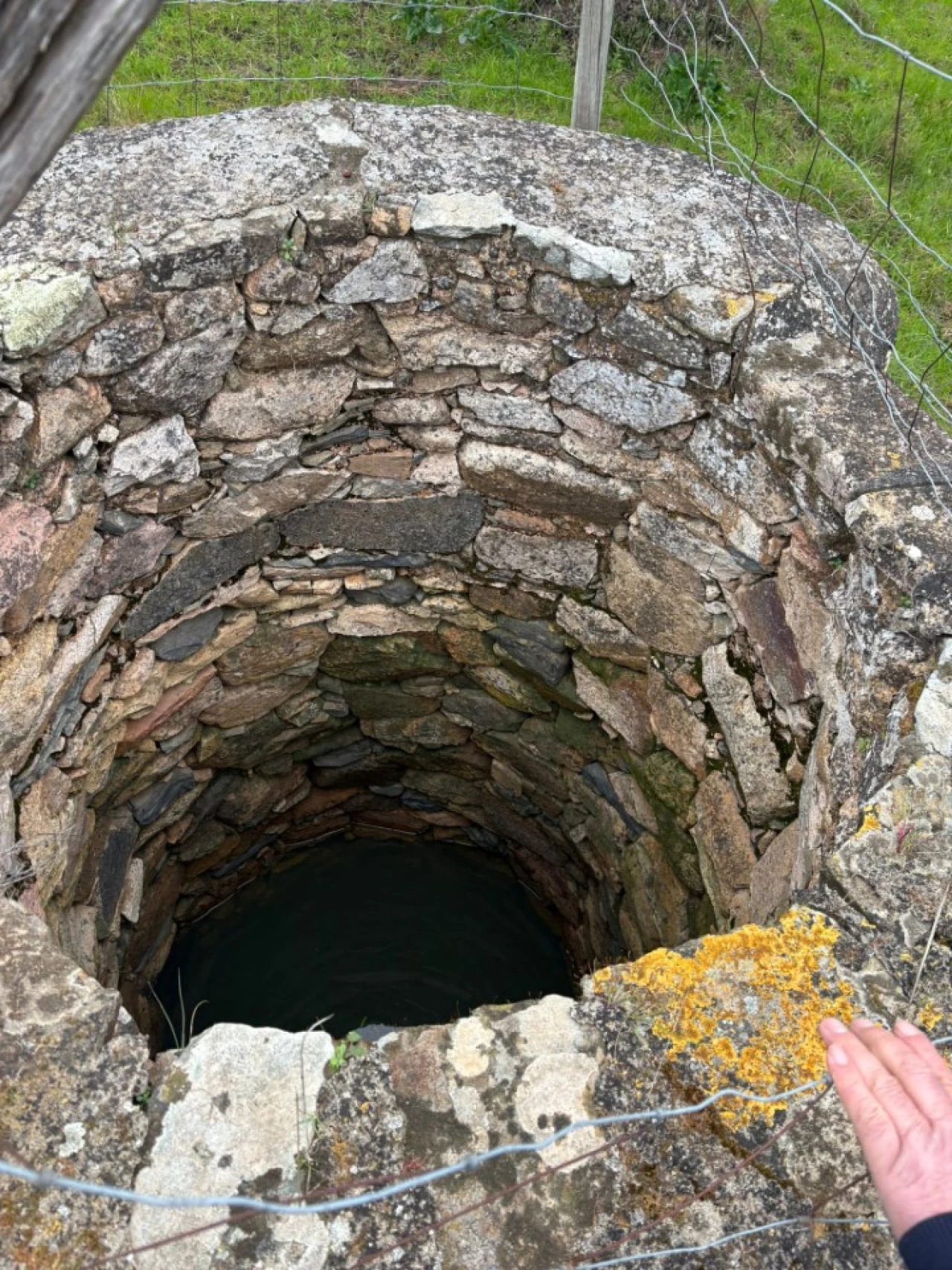 Terreno para Venda em Monforte Foto 14