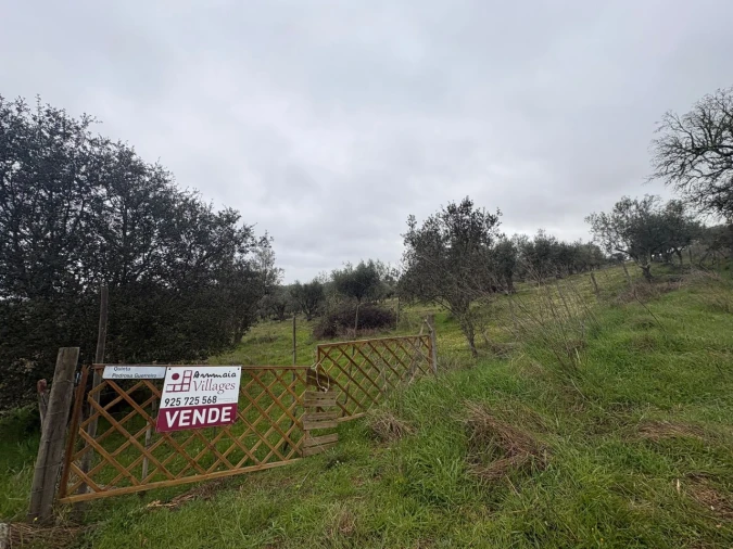 Terreno para Venda em Monforte Foto 1