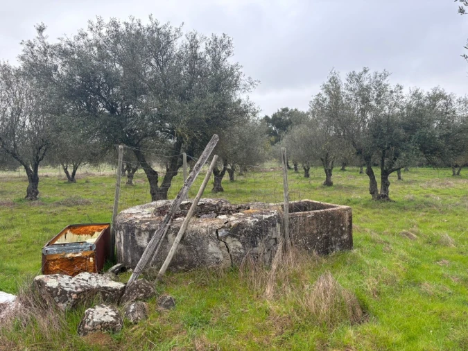 Terreno para Venda em Monforte Foto 19