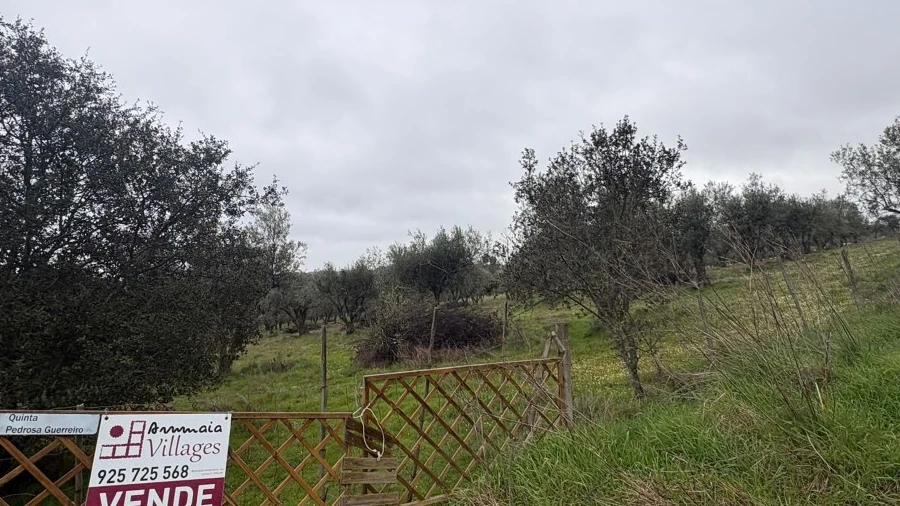 Terreno para Venda em Barbacena e Vila Fernando
