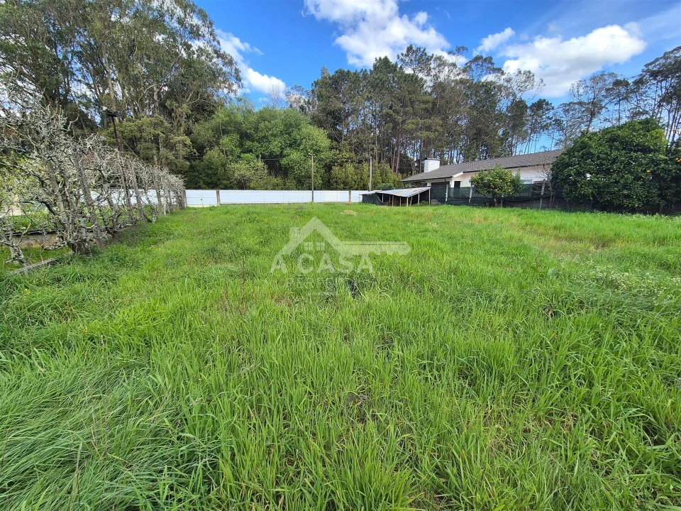 Terreno para Venda em Ovar, São João, Arada e São Vicente de Pereira Jusã Foto 1