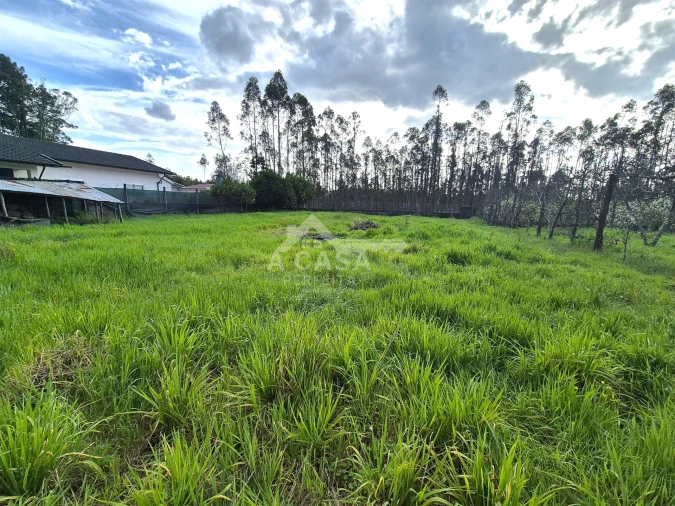 Terreno para Venda em Ovar, São João, Arada e São Vicente de Pereira Jusã Foto 2