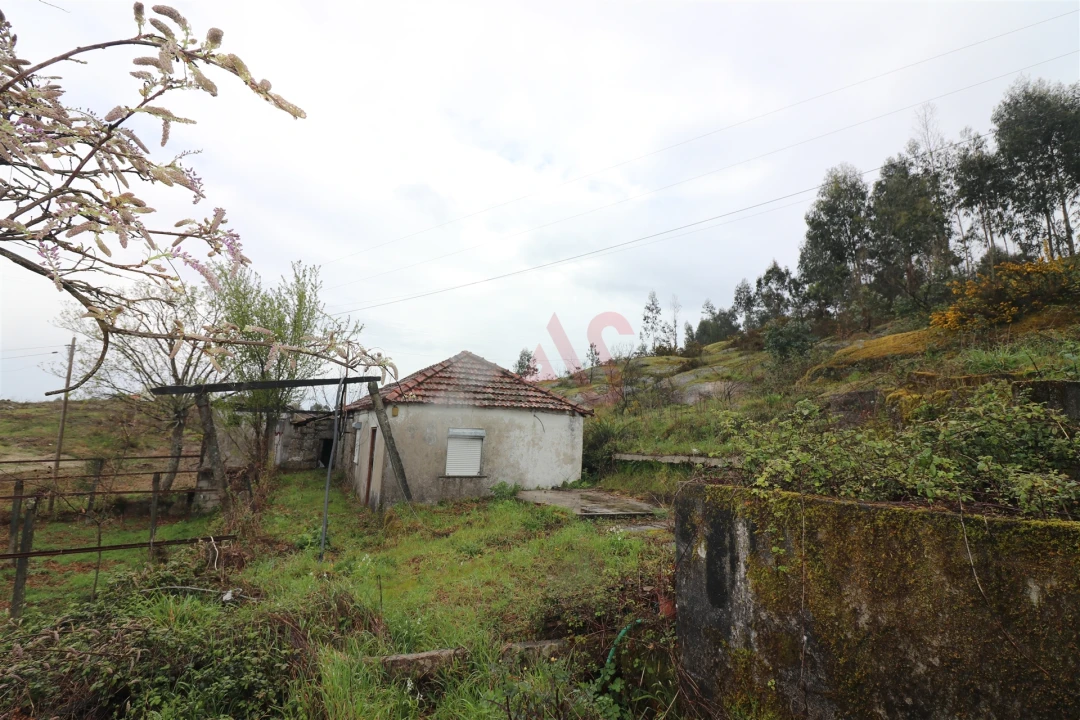 Moradia T4 para Venda em Croca Foto 15