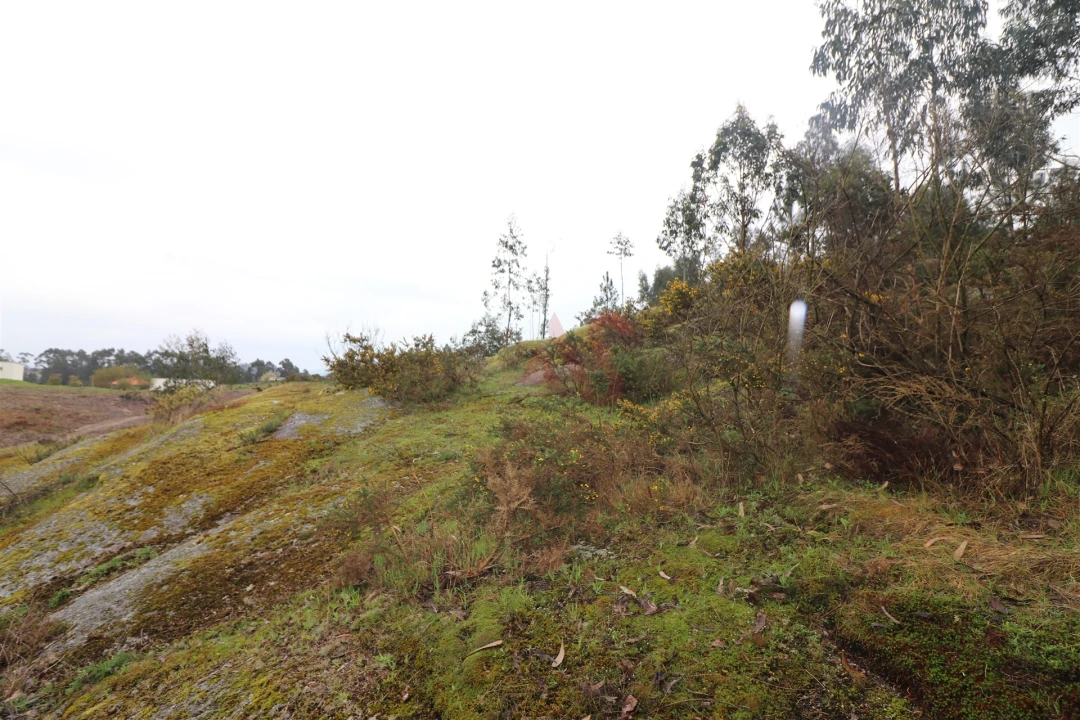 Moradia T4 para Venda em Croca Foto 6