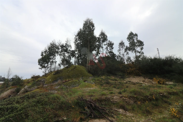 Moradia T4 para Venda em Croca Foto 10