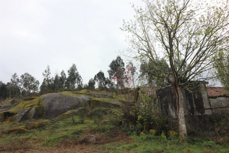 Moradia T4 para Venda em Croca Foto 19