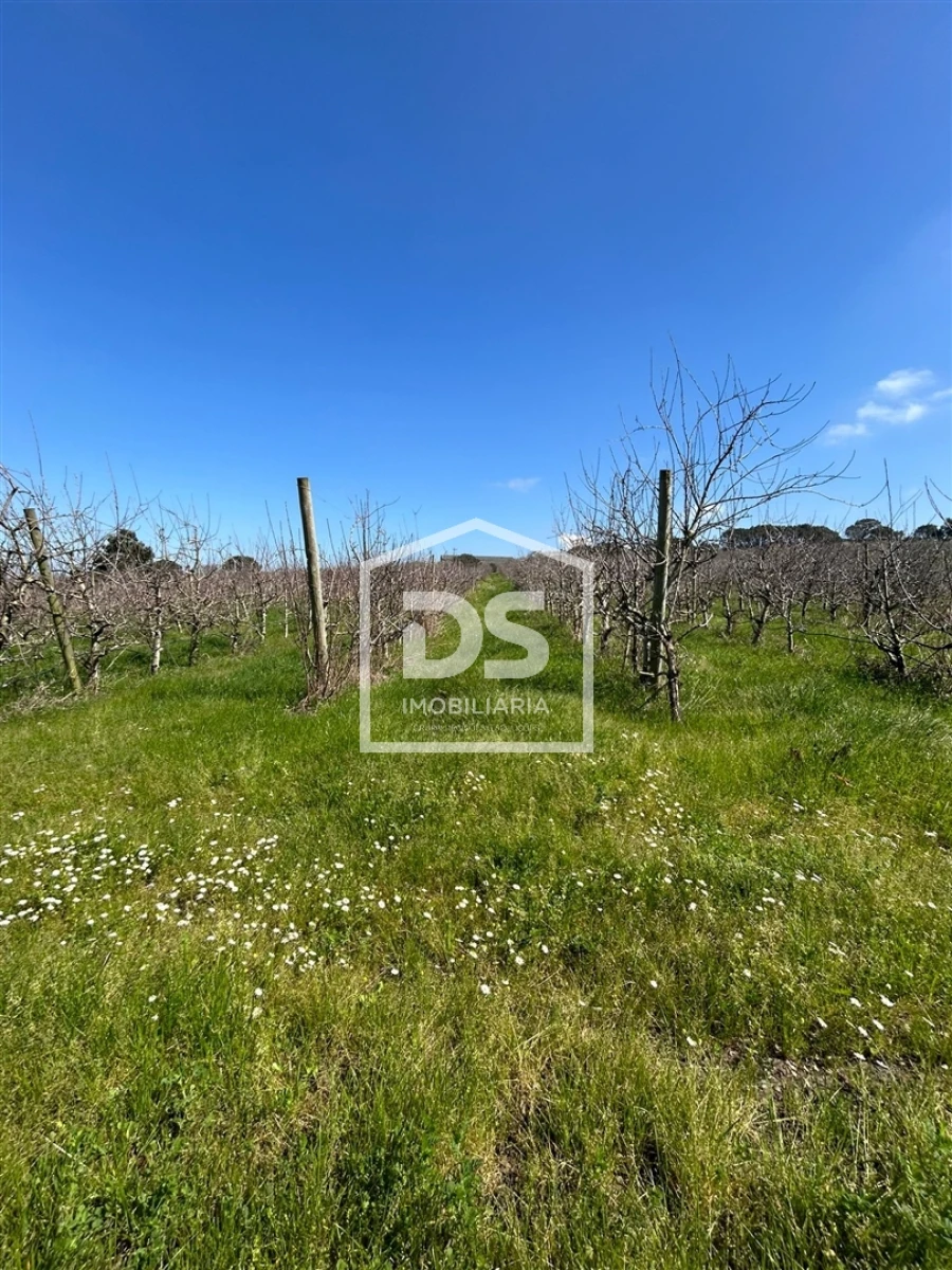Terreno Agricola ou Rústico para Venda em Vimeiro