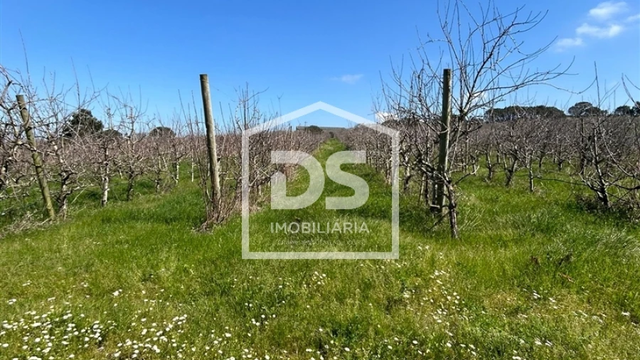 Terreno Agricola ou Rústico para Venda em Vimeiro