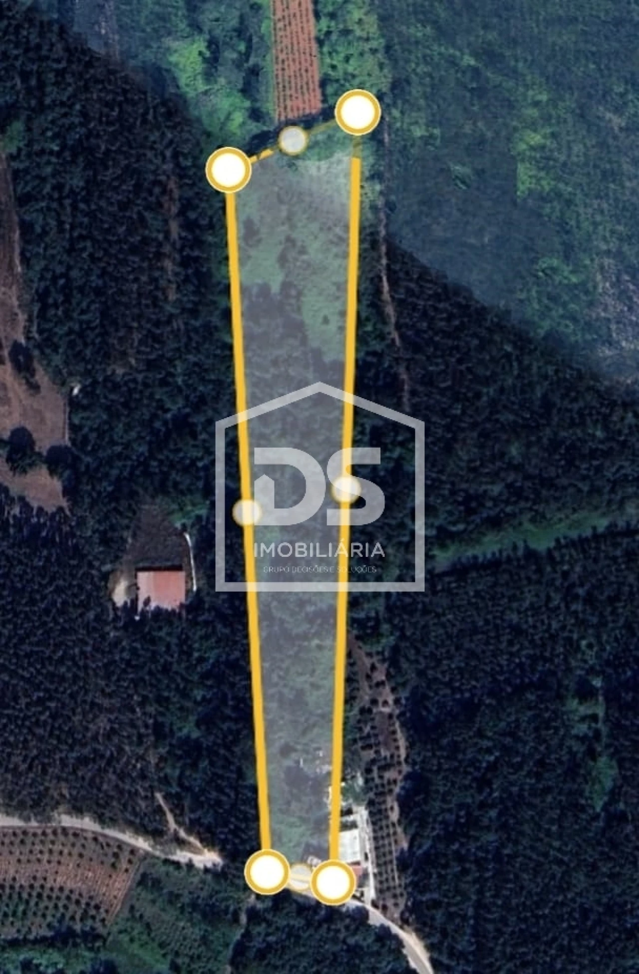 Terreno para Venda em Aljubarrota Foto 1