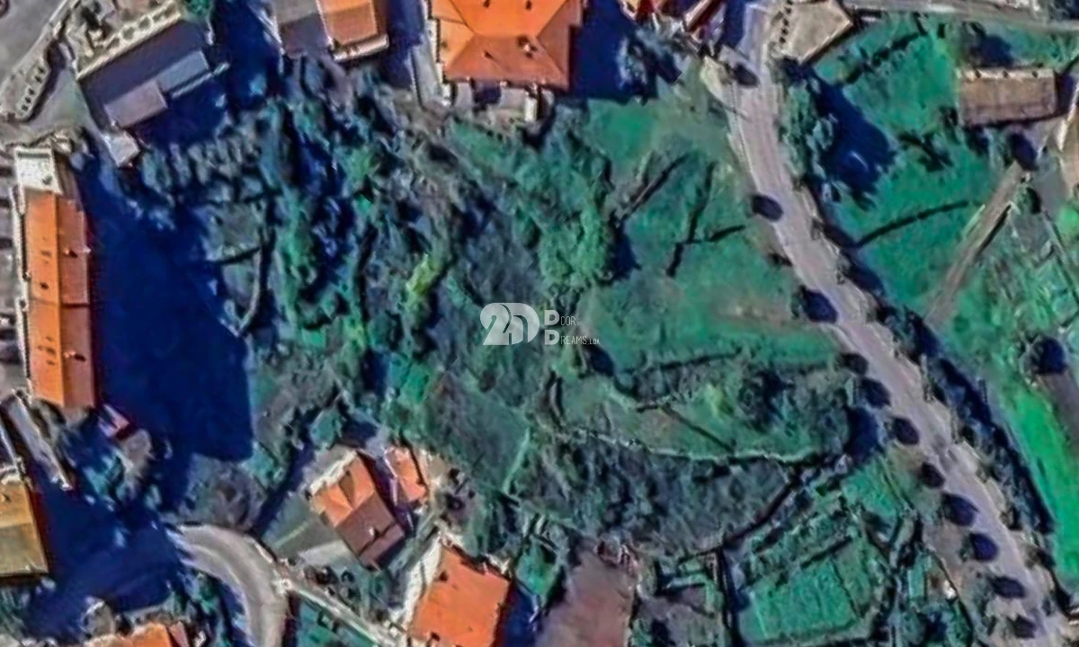 Terreno Agricola ou Rústico para Venda em Tabuaço Foto 3