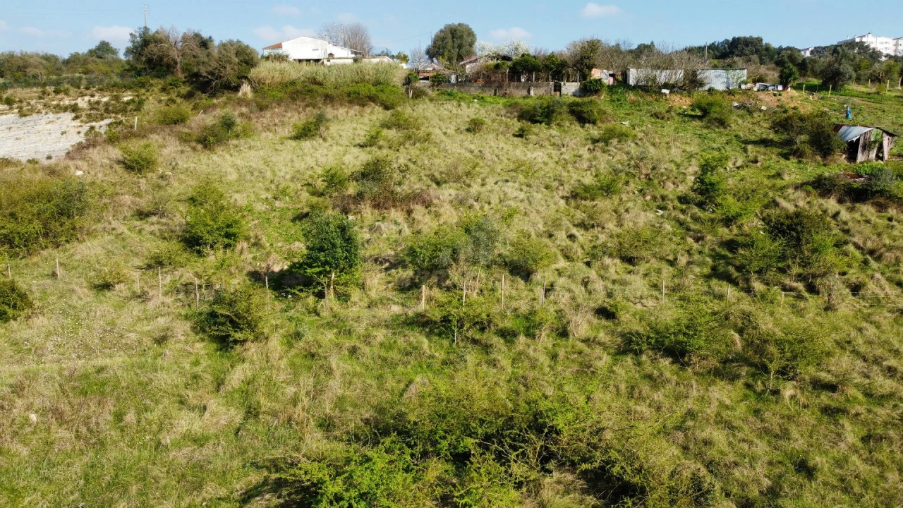 Terreno para Venda em Eiras e São Paulo de Frades Foto 5