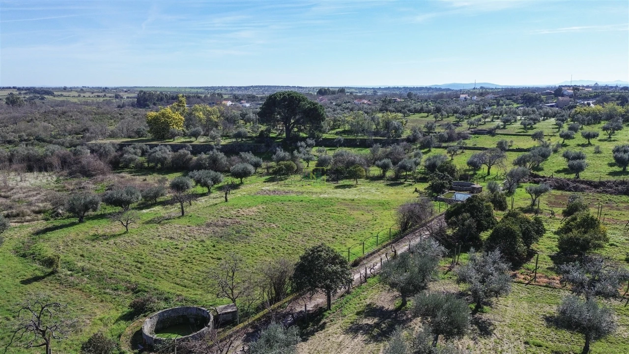 Quinta T3 para Venda em Castelo Branco Foto 83