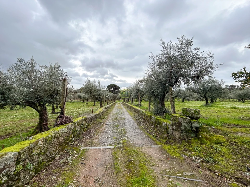 Quinta T3 para Venda em Castelo Branco Foto 19