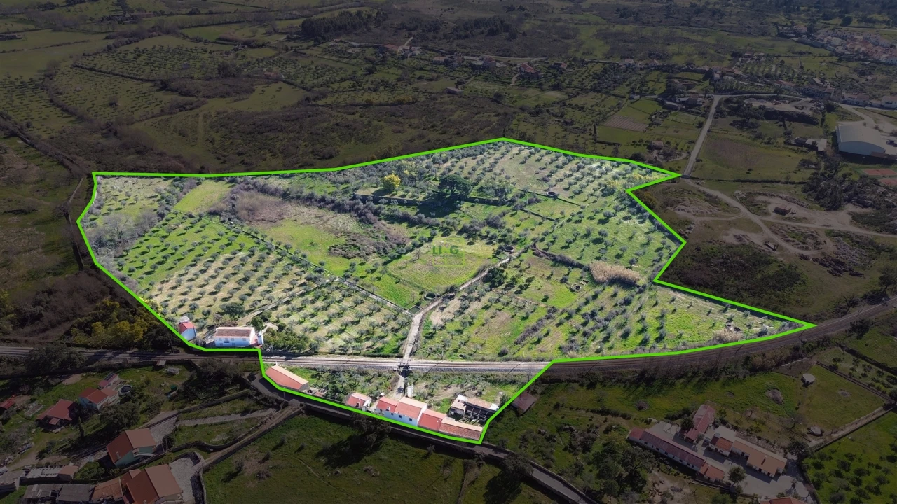 Quinta T3 para Venda em Castelo Branco Foto 62