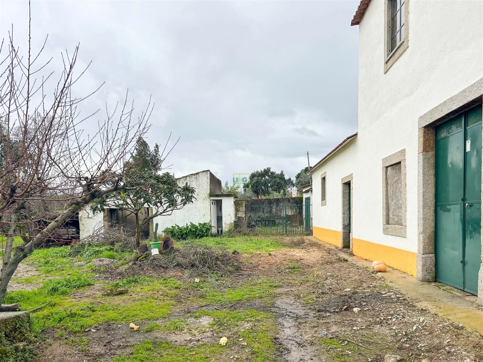 Quinta T3 para Venda em Castelo Branco Foto 27