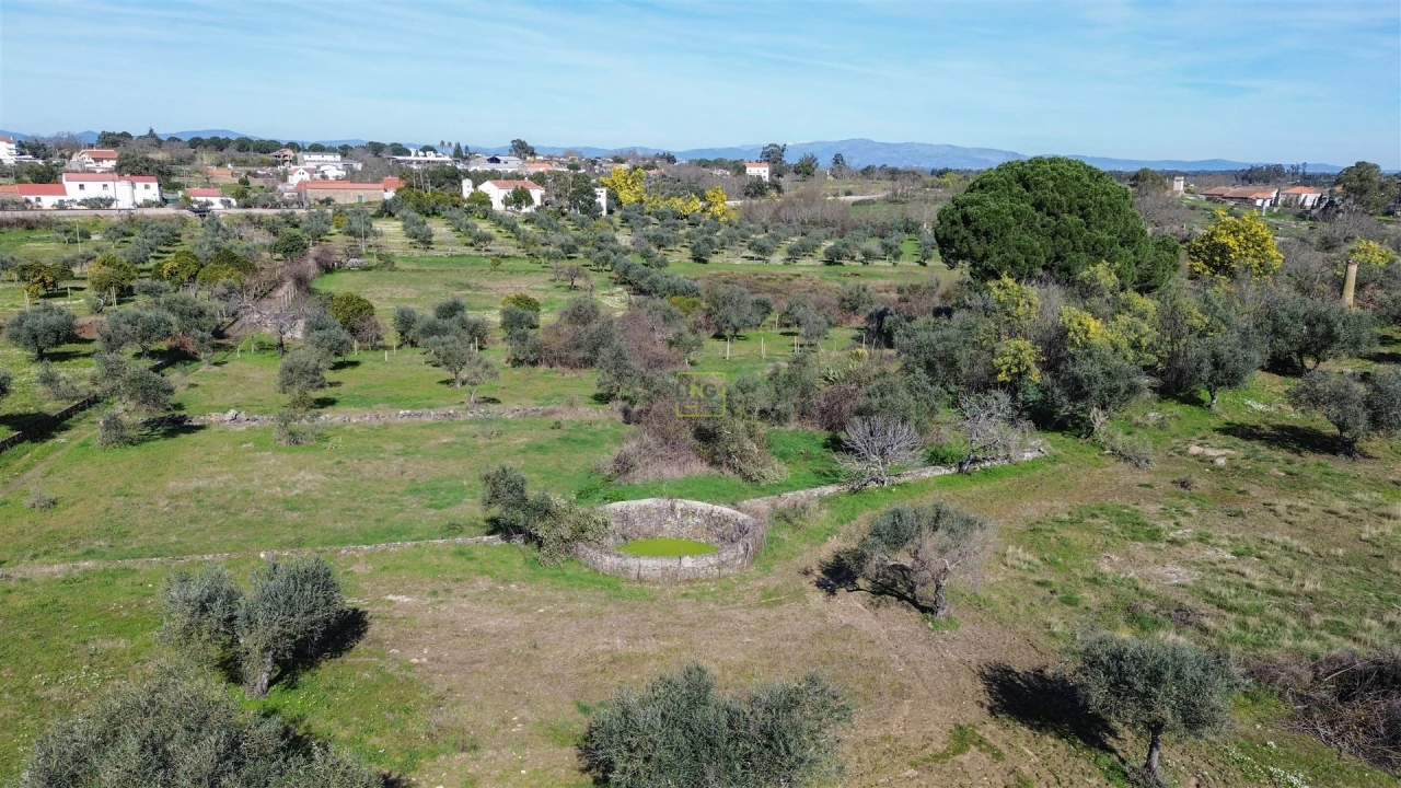 Quinta T3 para Venda em Castelo Branco Foto 70