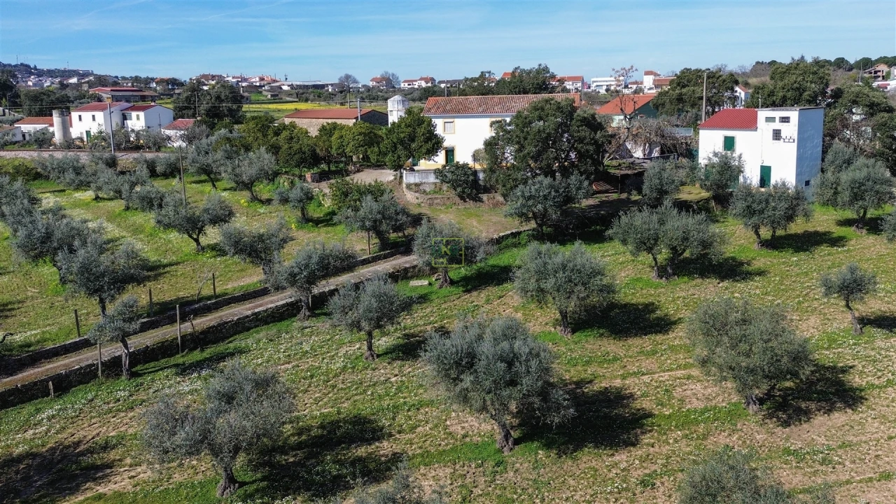 Quinta T3 para Venda em Castelo Branco Foto 89
