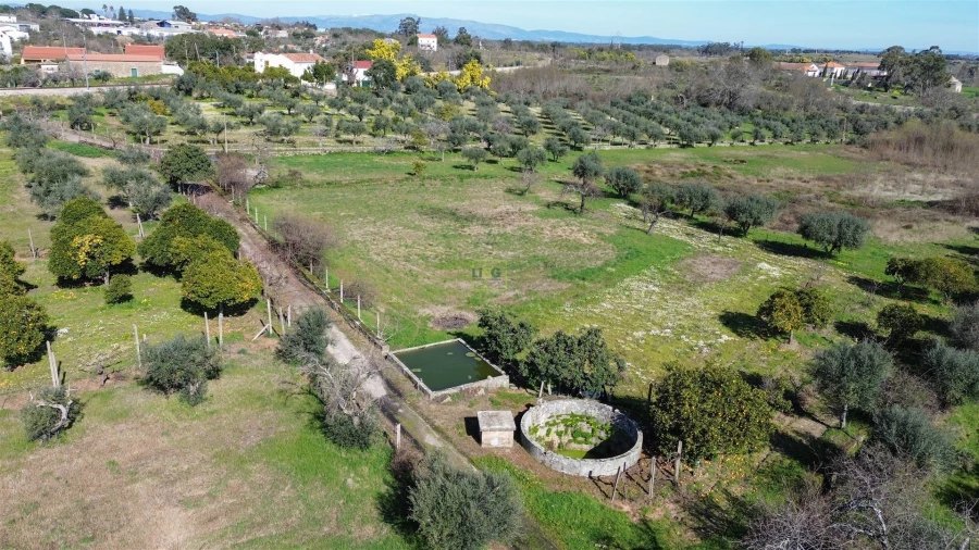 Quinta T3 para Venda em Castelo Branco Foto 74