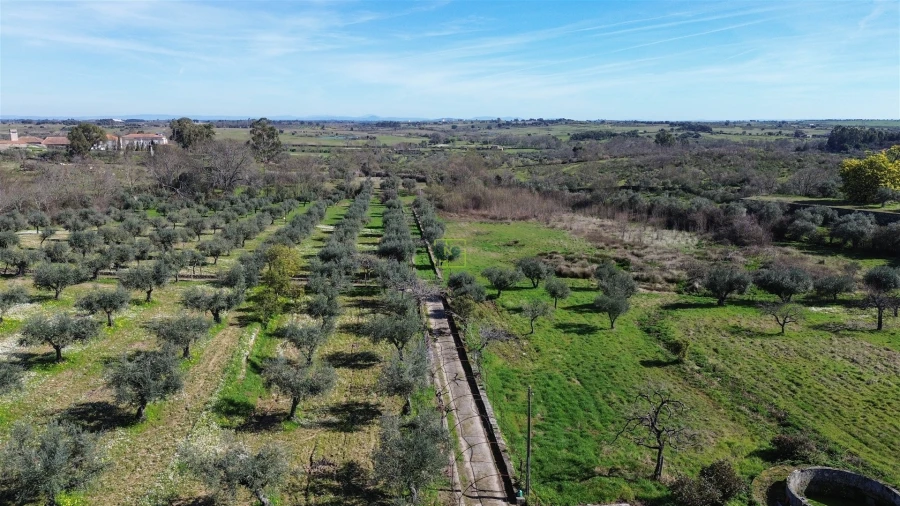 Quinta T3 para Venda em Castelo Branco Foto 82