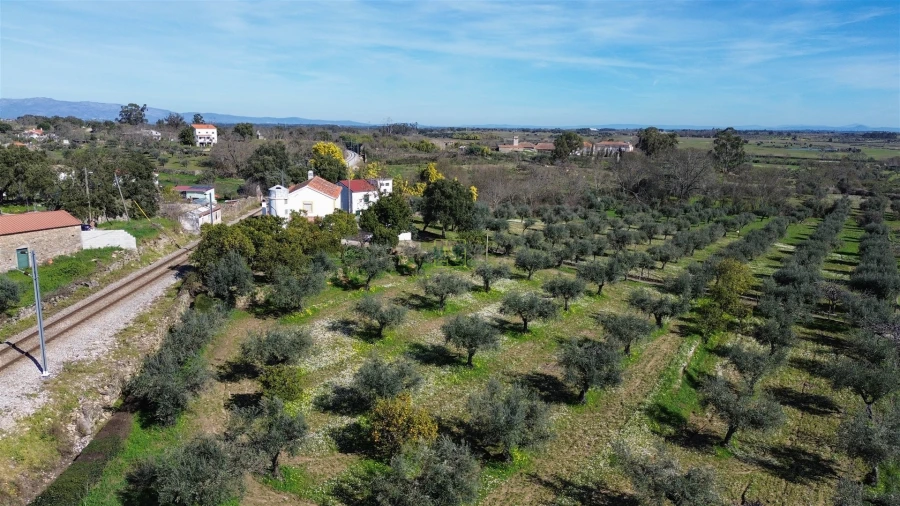 Quinta T3 para Venda em Castelo Branco Foto 81