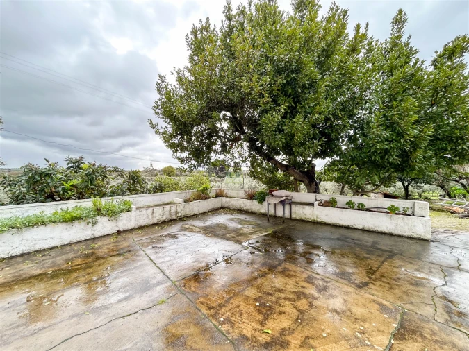 Quinta T3 para Venda em Castelo Branco Foto 7