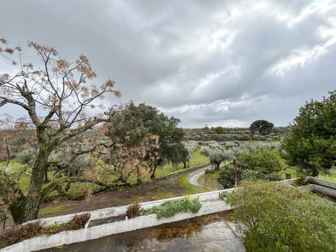 Quinta T3 para Venda em Castelo Branco Foto 55