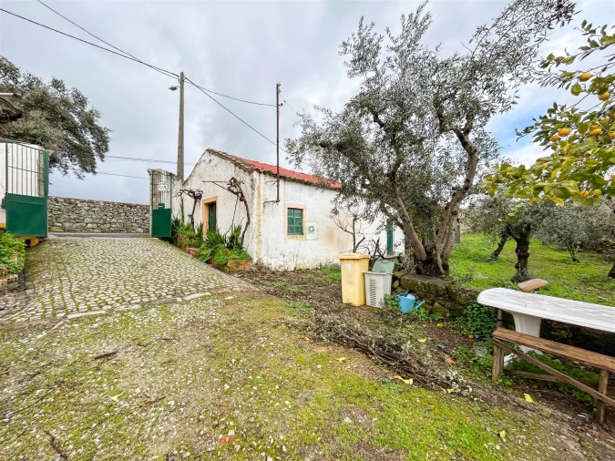 Quinta T3 para Venda em Castelo Branco Foto 24