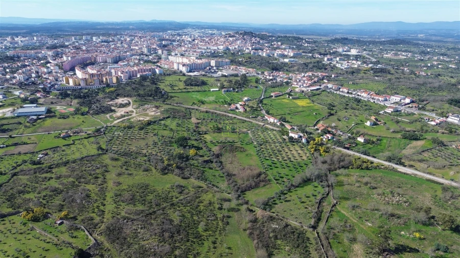 Quinta T3 para Venda em Castelo Branco Foto 63